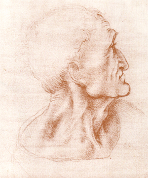 study for the head of  Judas